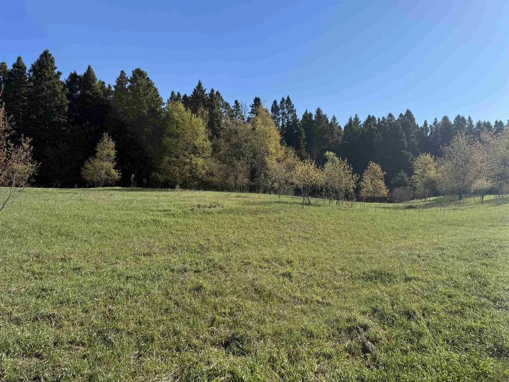 000 W Timber Lane Kasson Township MI 49630