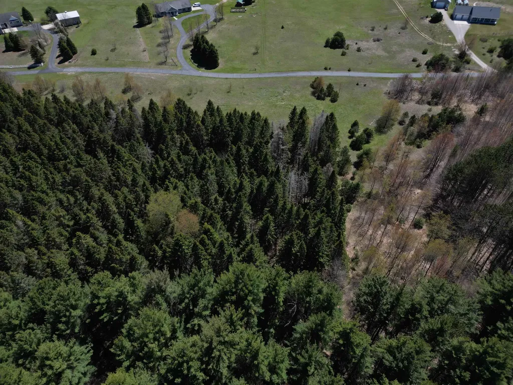 000 W Timber Lane Kasson Township MI 49630