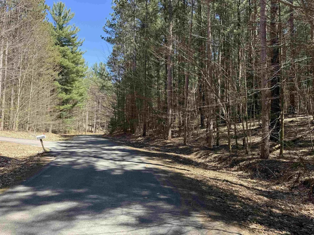 000 W Timber Lane Kasson Township MI 49630