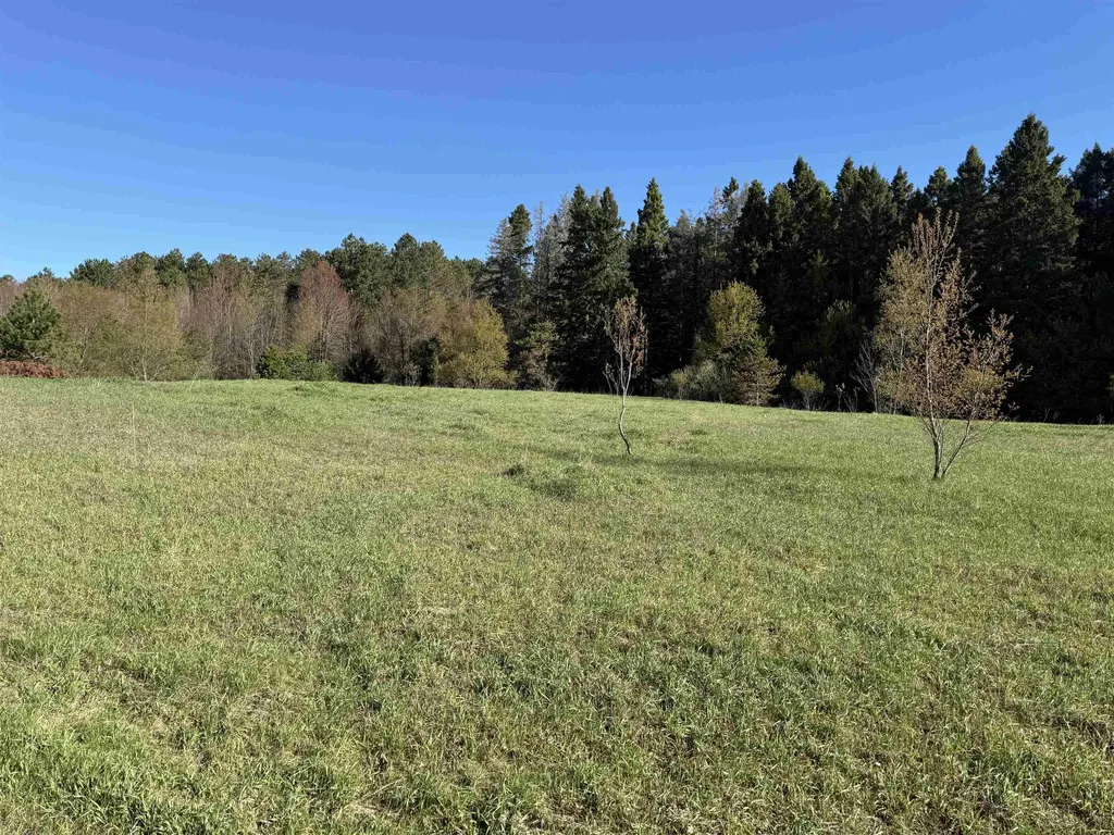 000 W Timber Lane Kasson Township MI 49630