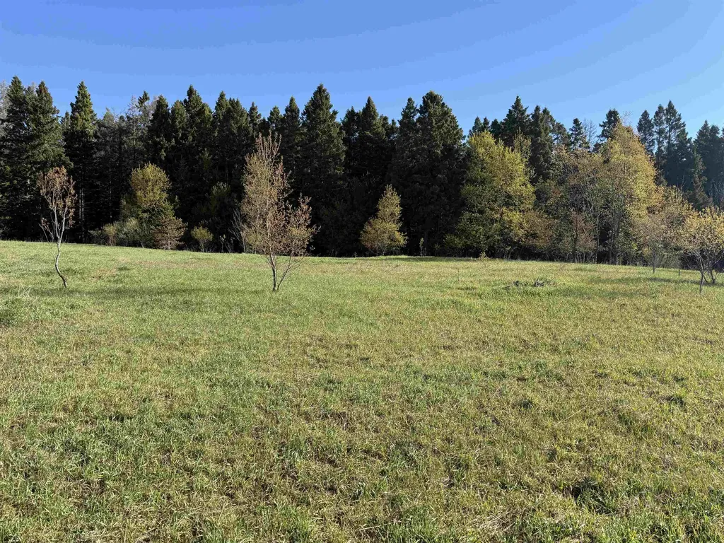 000 W Timber Lane Kasson Township MI 49630