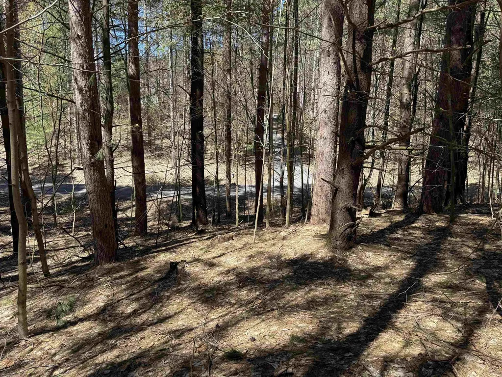 000 W Timber Lane Kasson Township MI 49630