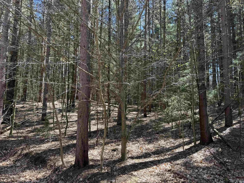 000 W Timber Lane Kasson Township MI 49630