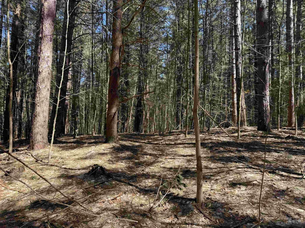 000 W Timber Lane Kasson Township MI 49630