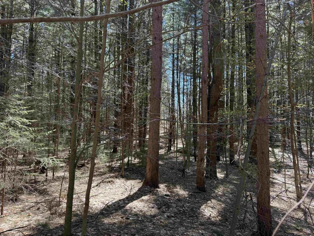 000 W Timber Lane Kasson Township MI 49630