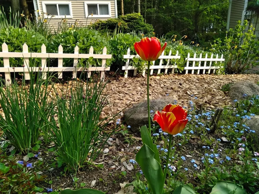 3196 Joe Marks Trail Milton Township MI 49648