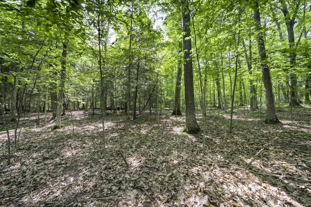 4005 E Oxford Drive Leland Township MI 49654
