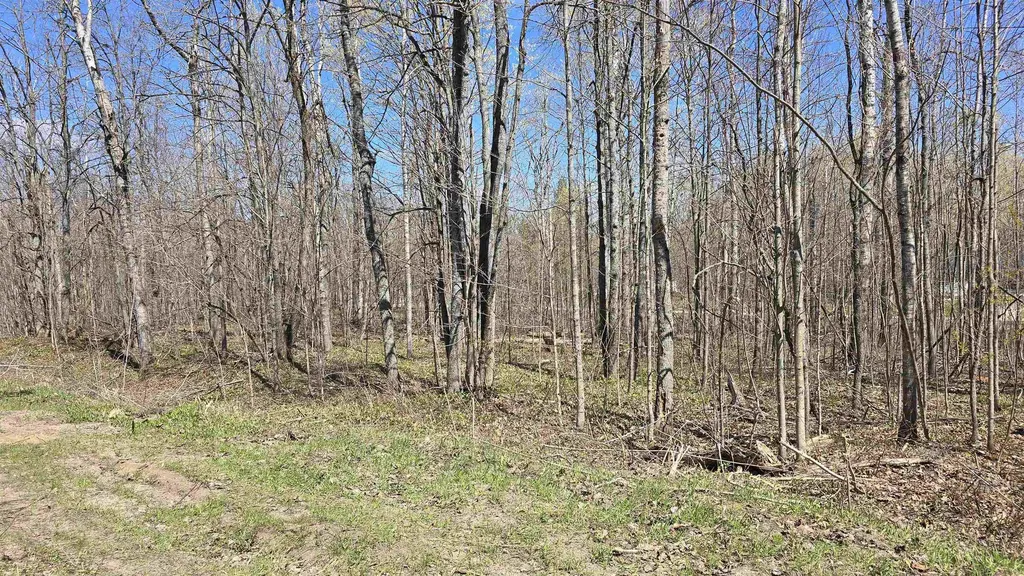 Vl Lot 455 Pineview Drive Mancelona Township MI 49659