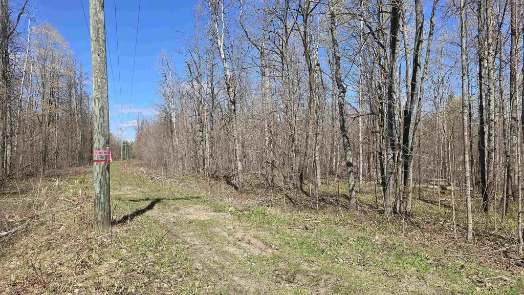 Vl Lot 455 Pineview Drive Mancelona Township MI 49659