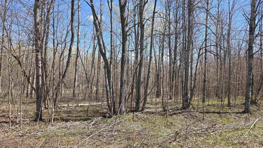 Vl Lot 455 Pineview Drive Mancelona Township MI 49659