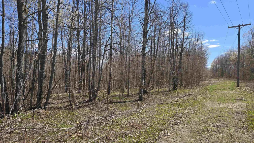 Vl Lot 455 Pineview Drive Mancelona Township MI 49659