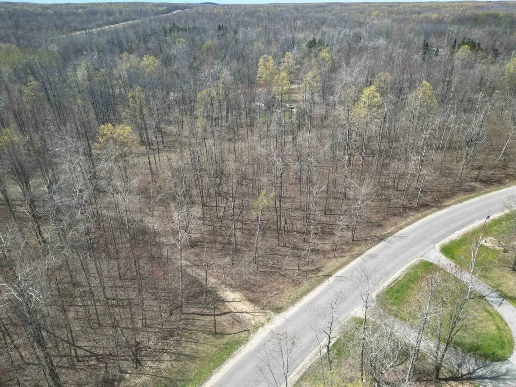 Vl Lot 455 Pineview Drive Mancelona Township MI 49659