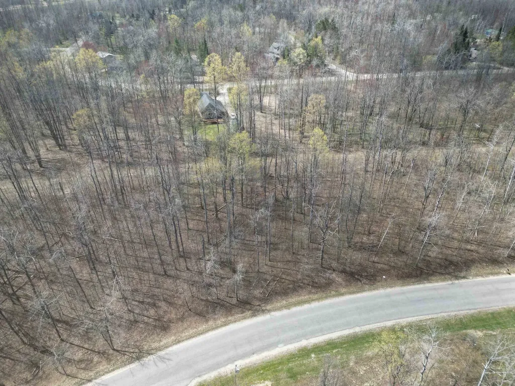 Vl Lot 455 Pineview Drive Mancelona Township MI 49659
