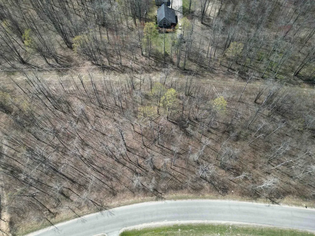 Vl Lot 455 Pineview Drive Mancelona Township MI 49659