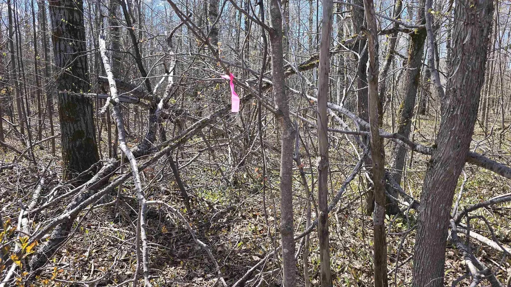 Vl Lot 455 Pineview Drive Mancelona Township MI 49659