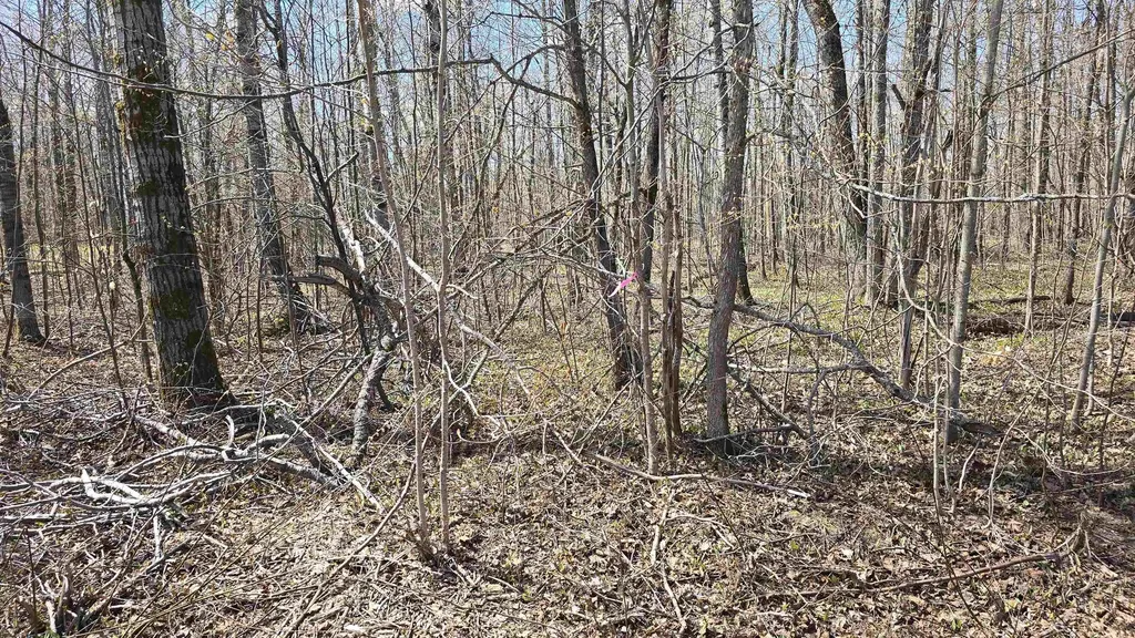Vl Lot 455 Pineview Drive Mancelona Township MI 49659