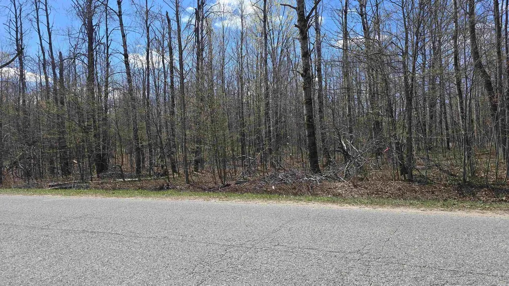 Vl Lot 455 Pineview Drive Mancelona Township MI 49659