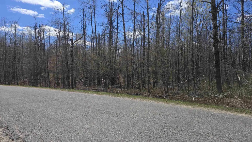 Vl Lot 455 Pineview Drive Mancelona Township MI 49659