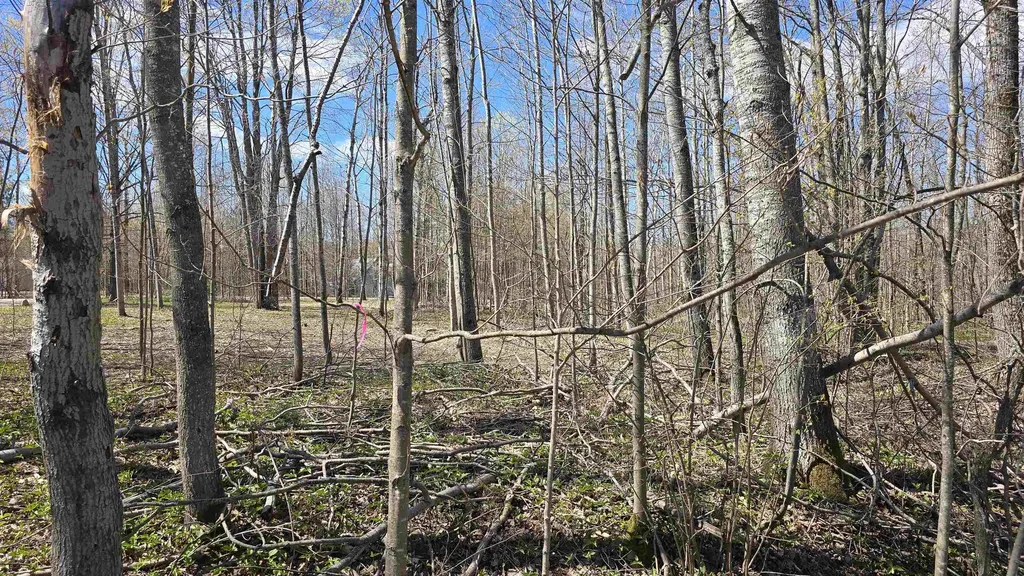 Vl Lot 455 Pineview Drive Mancelona Township MI 49659