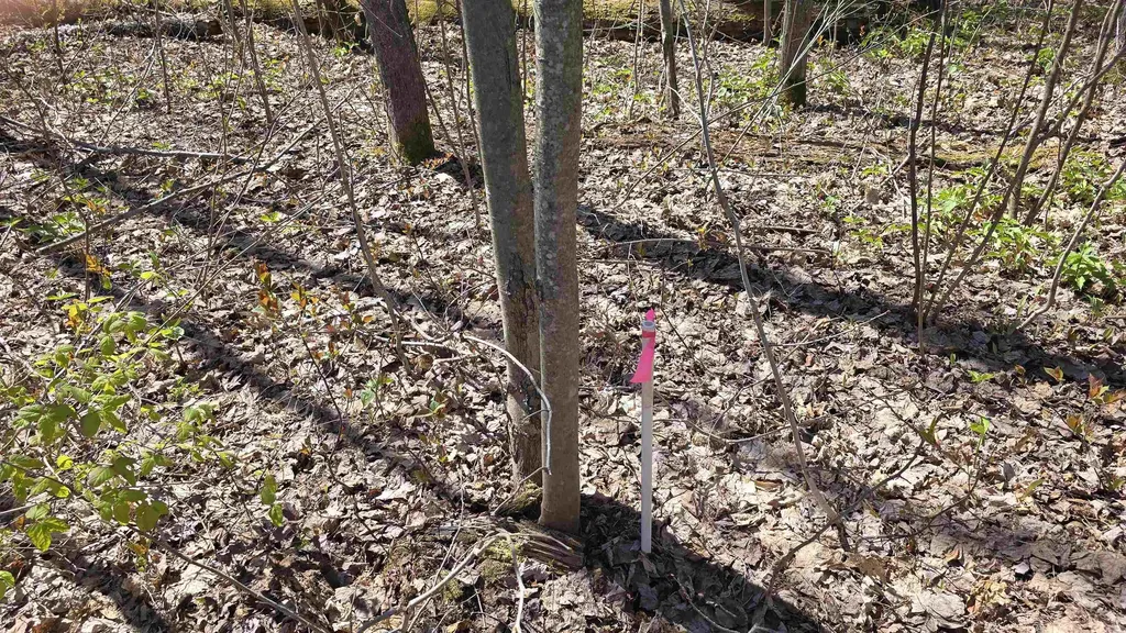 Vl Lot 455 Pineview Drive Mancelona Township MI 49659