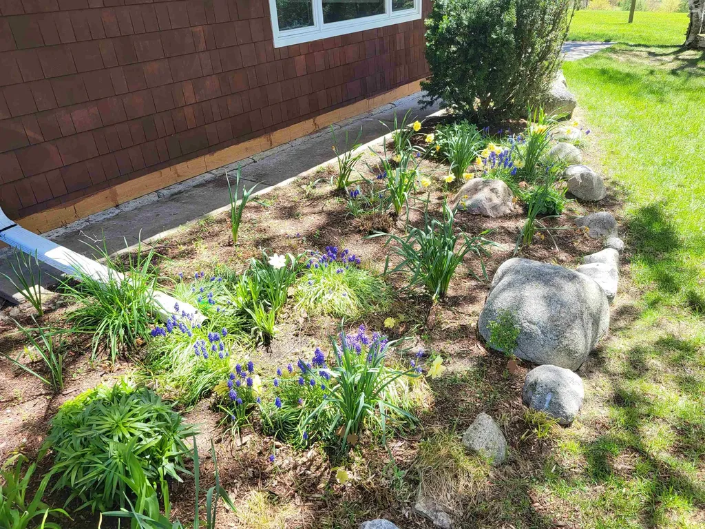 6039 Mick Road Joyfield Township MI 49616
