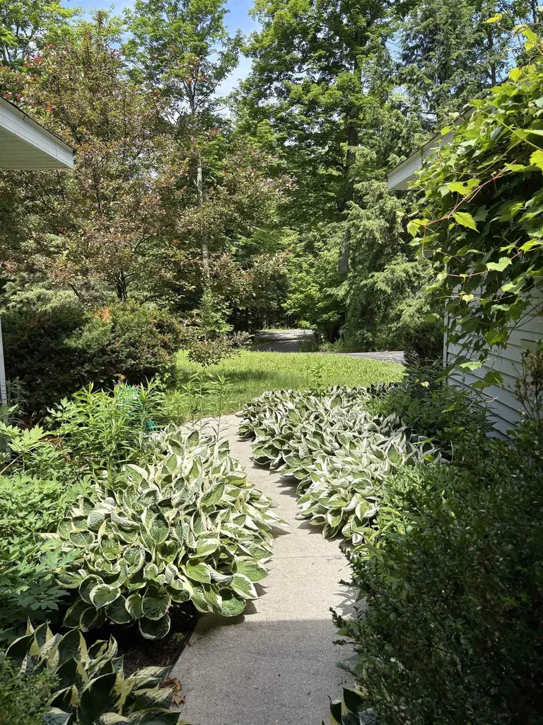 14416 Peninsula Drive Peninsula Township MI 49686