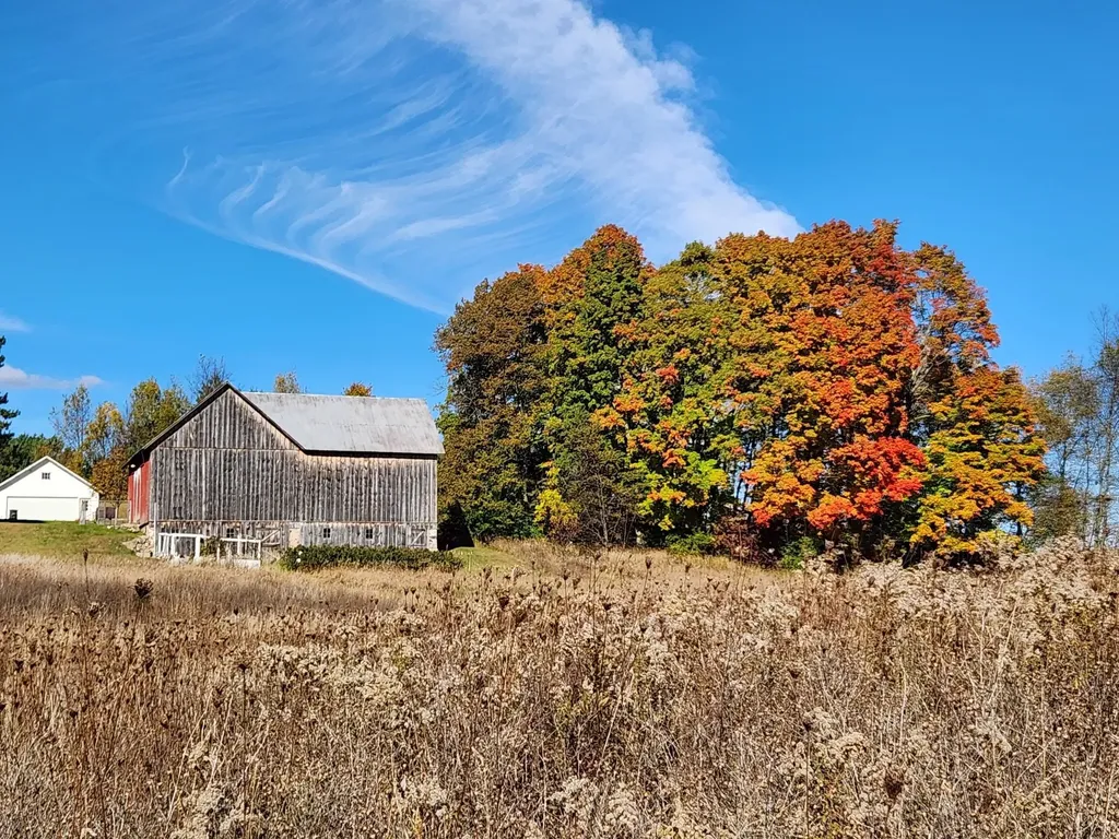 9901 S 41 Road Clam Lake Township MI 49601