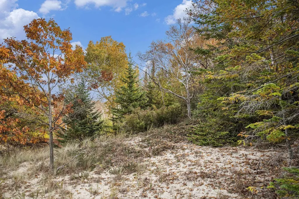 0 Sylvan Road Lake Township MI 49635