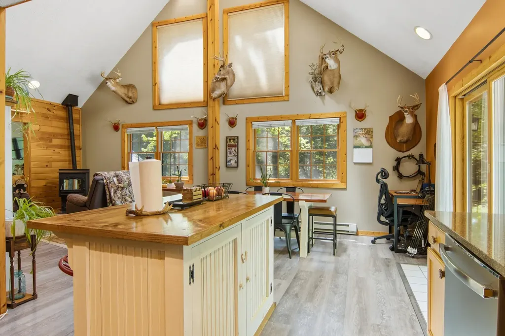 16862 Healy Lake Road Springdale Township MI 49683