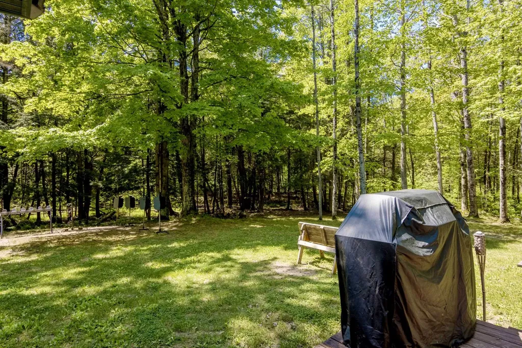 16862 Healy Lake Road Springdale Township MI 49683
