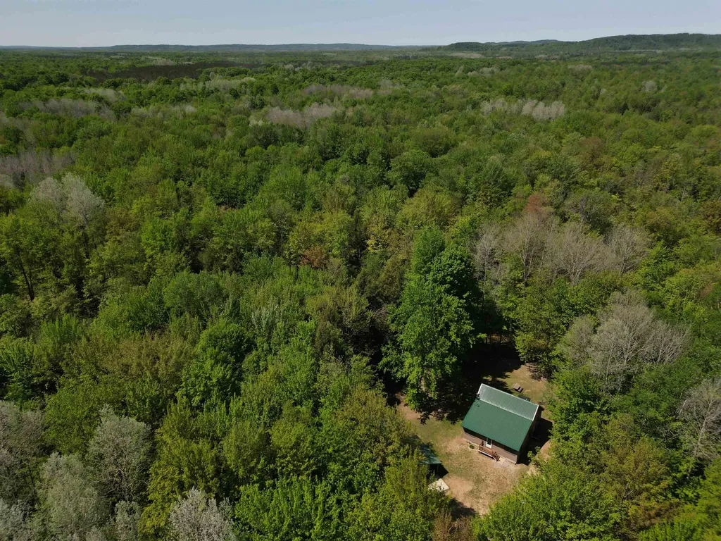 16862 Healy Lake Road Springdale Township MI 49683