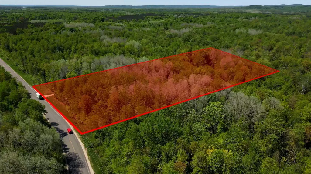 16862 Healy Lake Road Springdale Township MI 49683