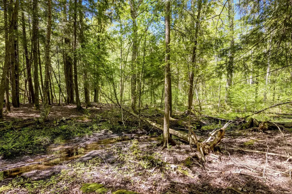 16862 Healy Lake Road Springdale Township MI 49683