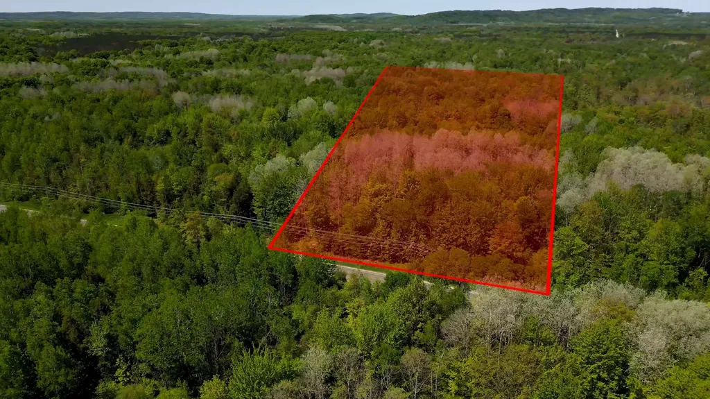 16862 Healy Lake Road Springdale Township MI 49683