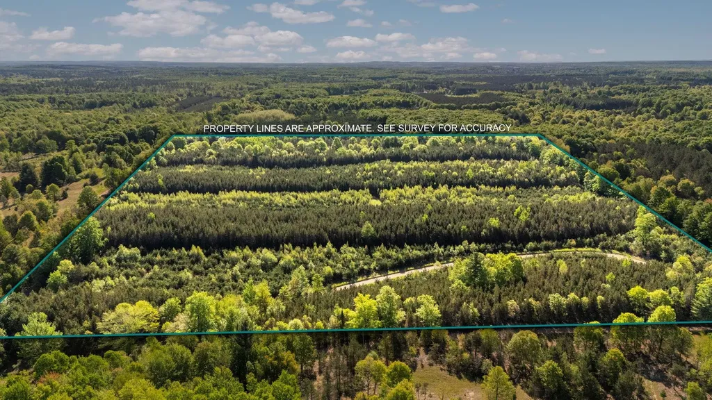 ACREAGE-40 Cedar Creek Road Union Township MI 49633