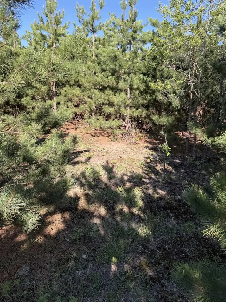 ACREAGE-40 Cedar Creek Road Union Township MI 49633