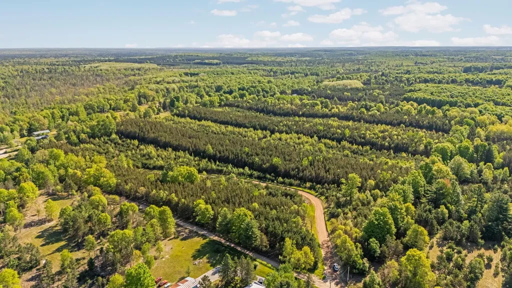 ACREAGE-40 Cedar Creek Road Union Township MI 49633