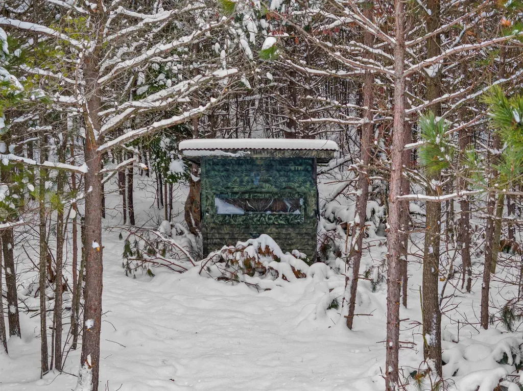 ACREAGE-40 Cedar Creek Road Union Township MI 49633