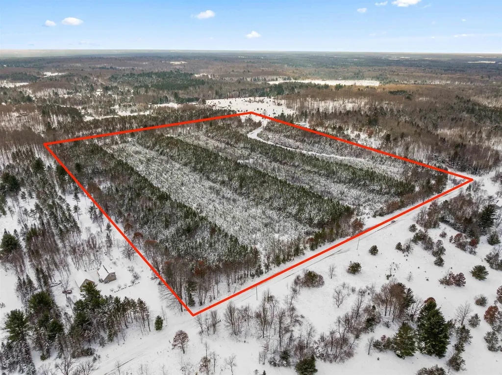 ACREAGE-40 Cedar Creek Road Union Township MI 49633