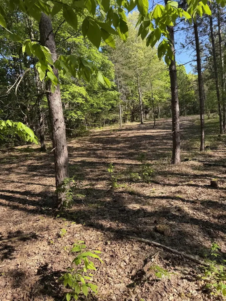 ACREAGE-40 Cedar Creek Road Union Township MI 49633