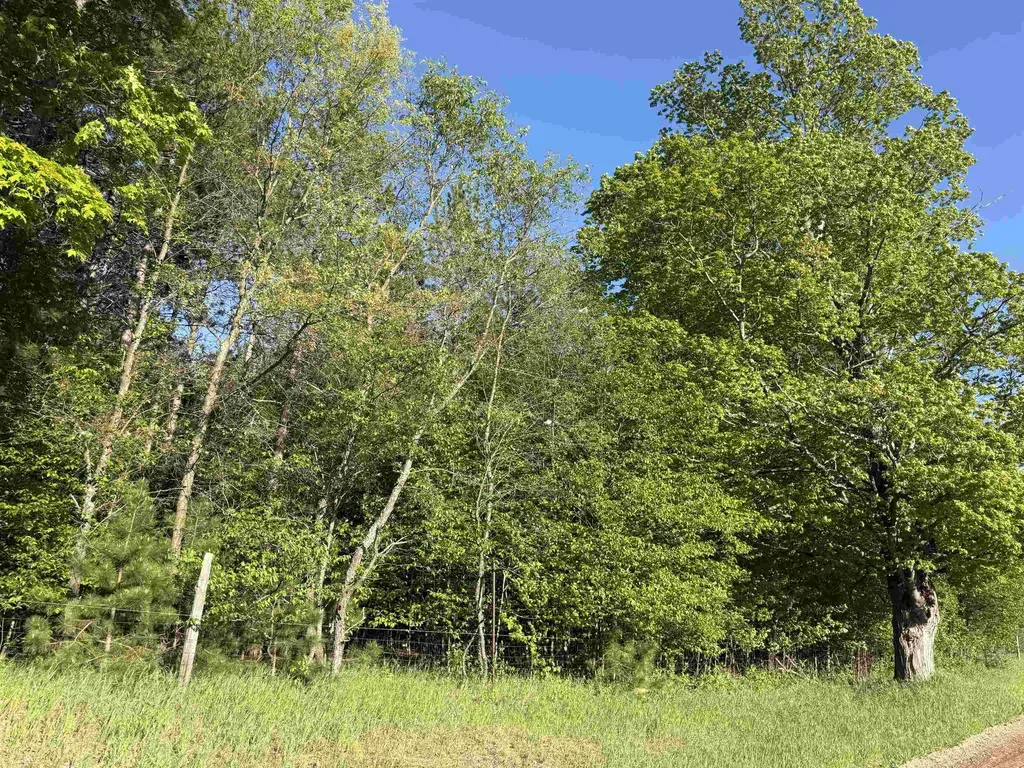ACREAGE-40 Cedar Creek Road Union Township MI 49633