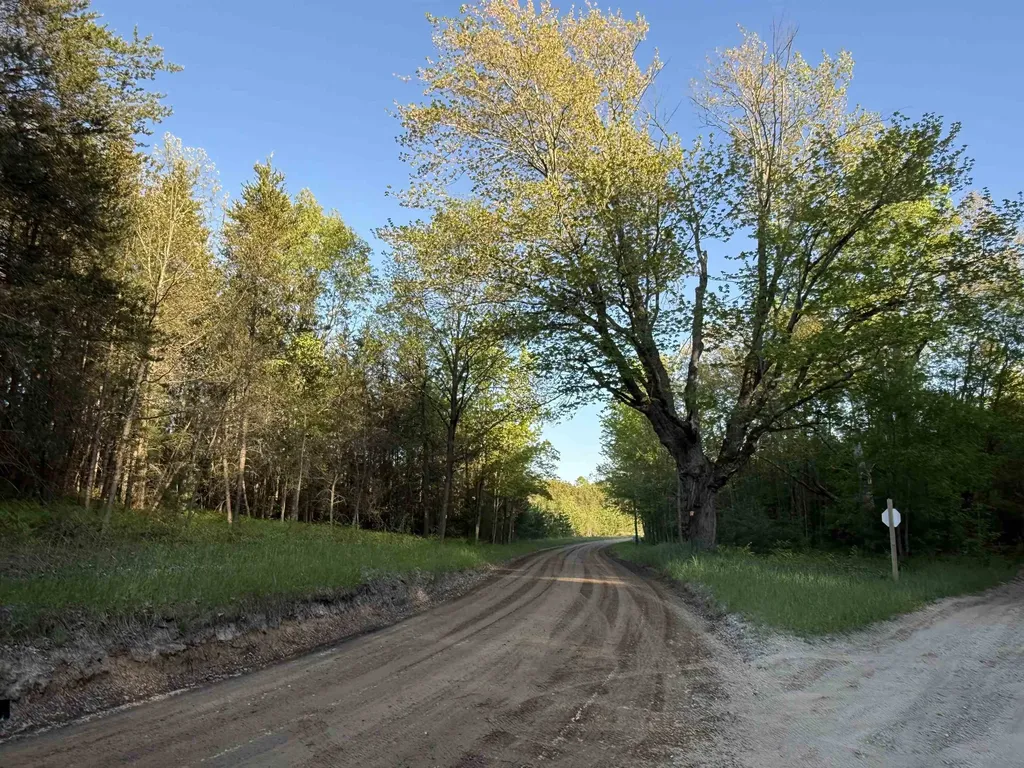 ACREAGE-40 Cedar Creek Road Union Township MI 49633