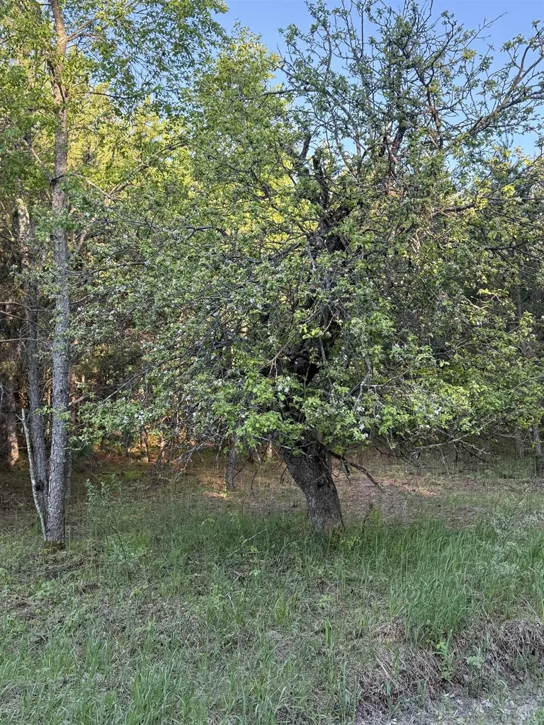ACREAGE-40 Cedar Creek Road Union Township MI 49633