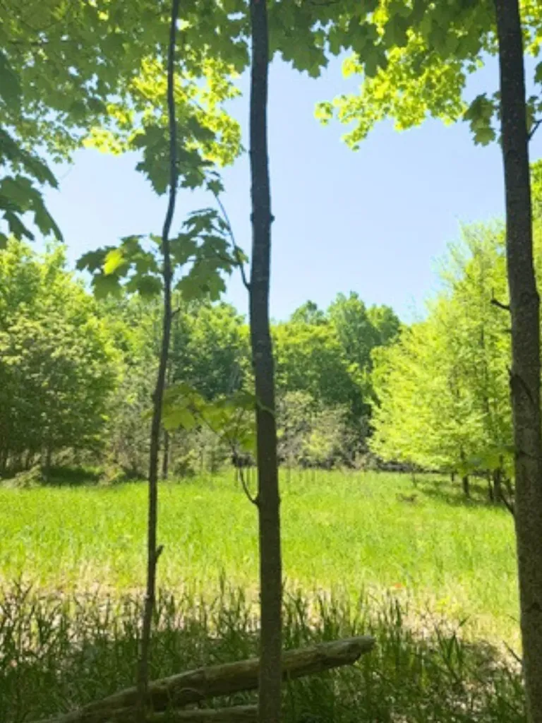 Vl Loomis Road Eveline Township MI 49727
