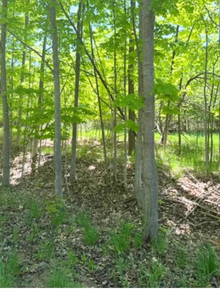 Vl Loomis Road Eveline Township MI 49727