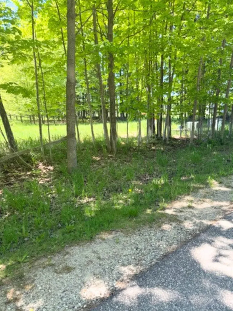 Vl Loomis Road Eveline Township MI 49727