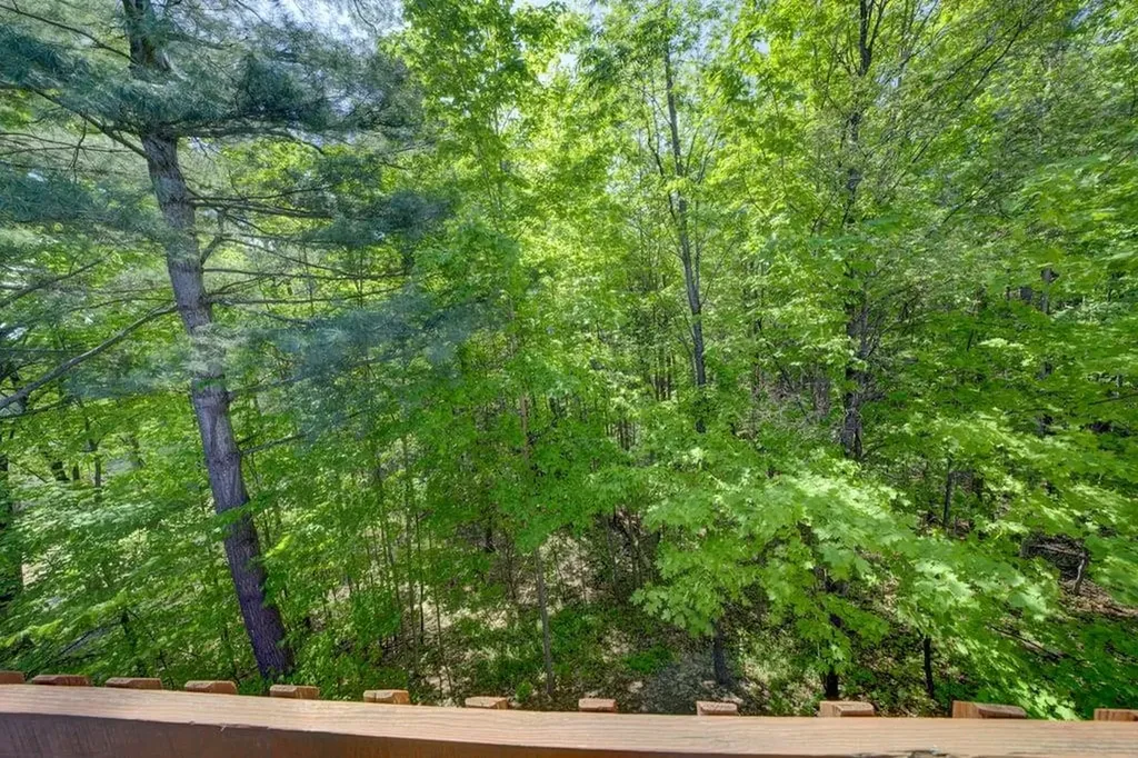 5452 Millbrook Drive Whitewater Township MI 49690