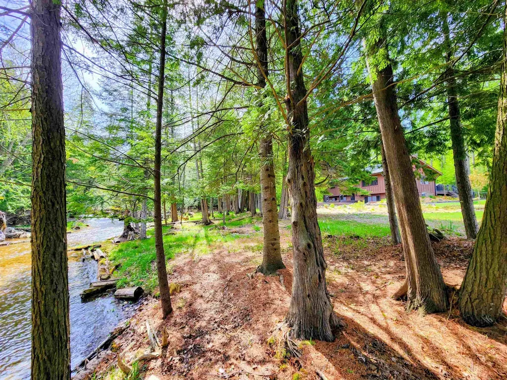 6075 Cedar River Road Mancelona Township MI 49659