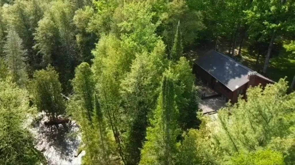 6075 Cedar River Road Mancelona Township MI 49659