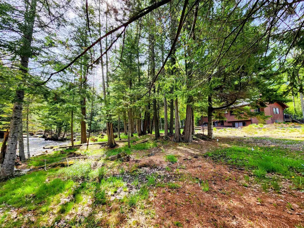 6075 Cedar River Road Mancelona Township MI 49659